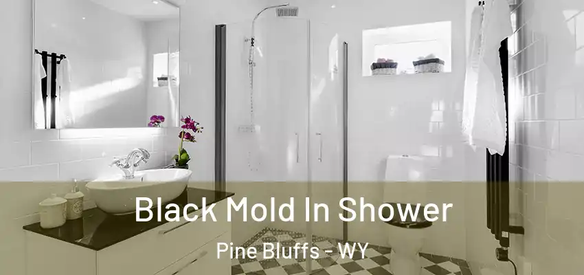  Black Mold In Shower Pine Bluffs - WY