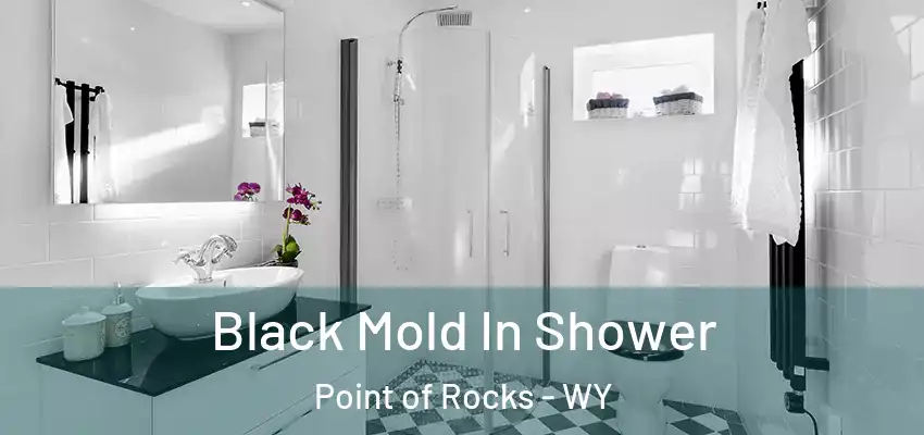  Black Mold In Shower Point of Rocks - WY