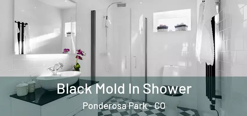  Black Mold In Shower Ponderosa Park - CO