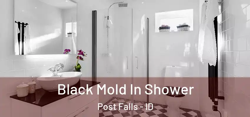  Black Mold In Shower Post Falls - ID