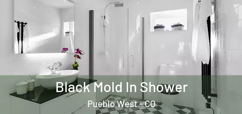  Black Mold In Shower Pueblo West - CO