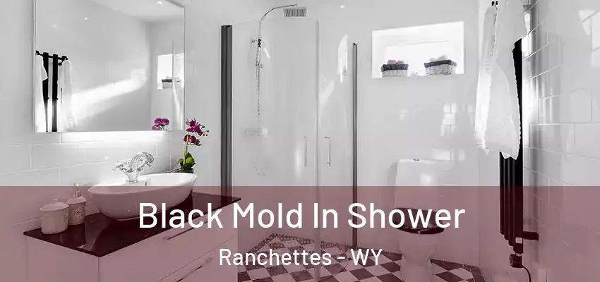 Black Mold In Shower Ranchettes - WY