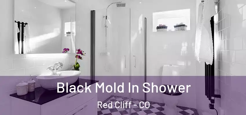 Black Mold In Shower Red Cliff - CO