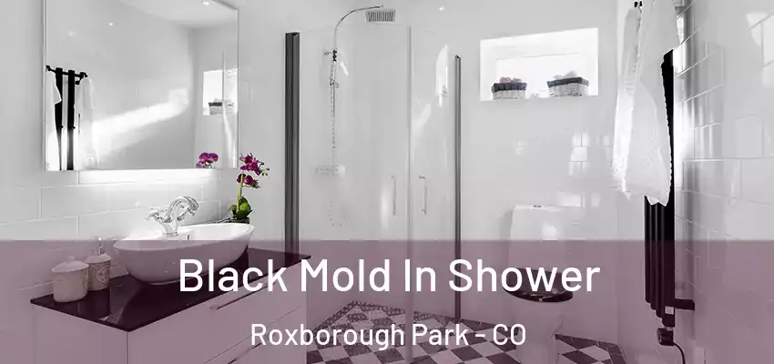 Black Mold In Shower Roxborough Park - CO