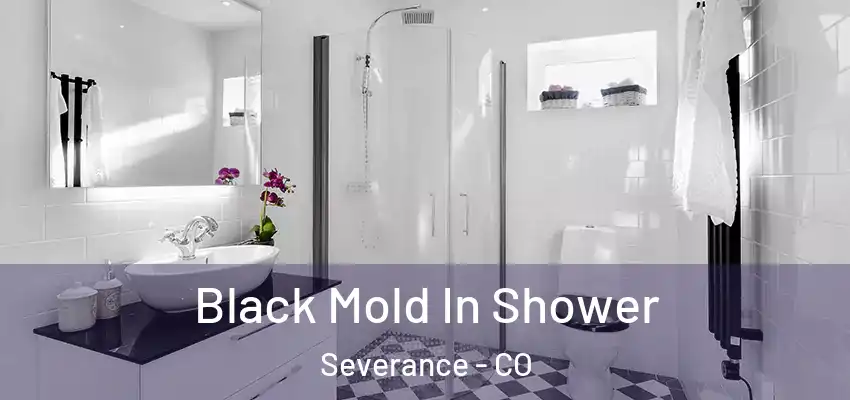  Black Mold In Shower Severance - CO