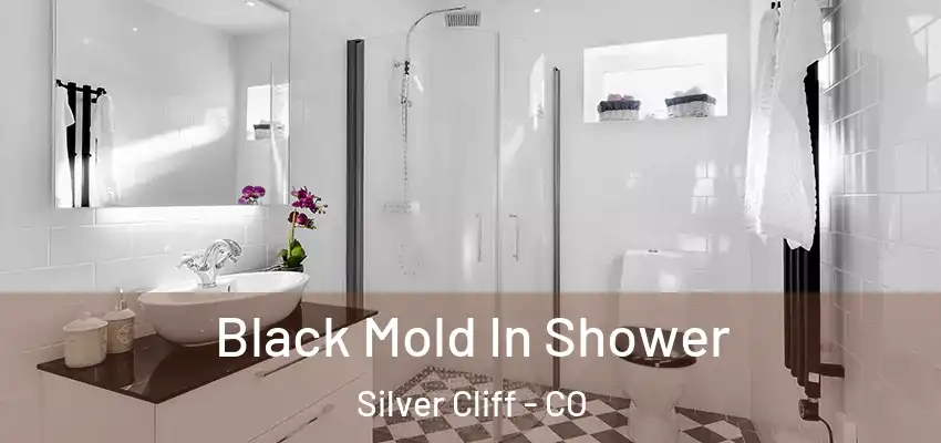  Black Mold In Shower Silver Cliff - CO