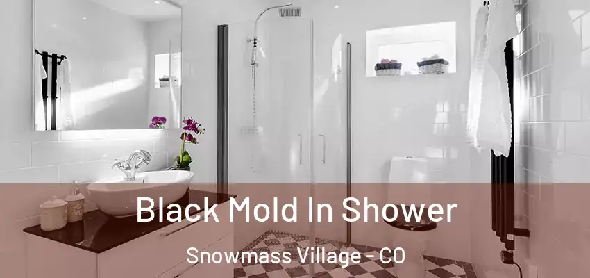  Black Mold In Shower Snowmass Village - CO
