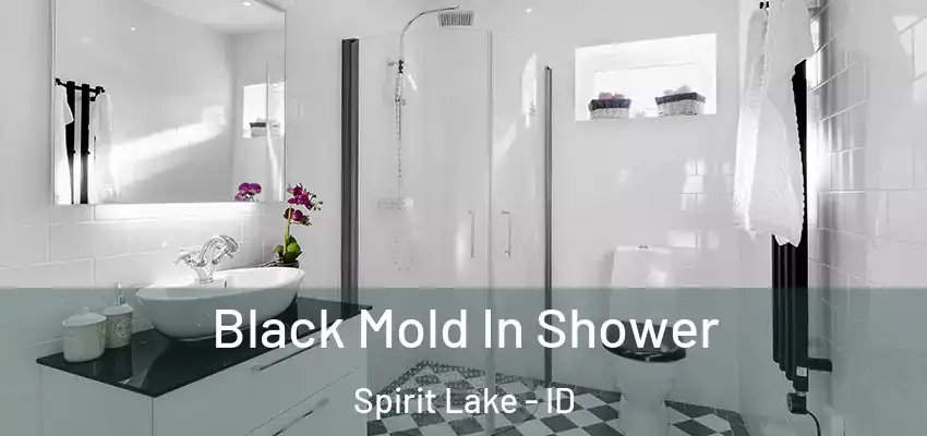  Black Mold In Shower Spirit Lake - ID