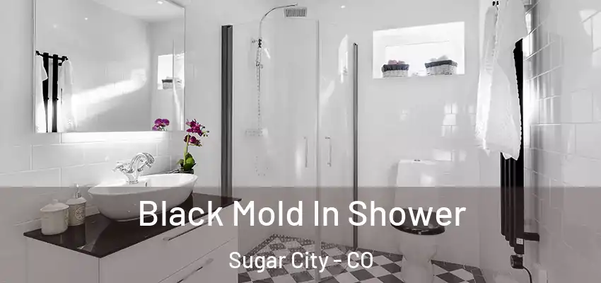  Black Mold In Shower Sugar City - CO