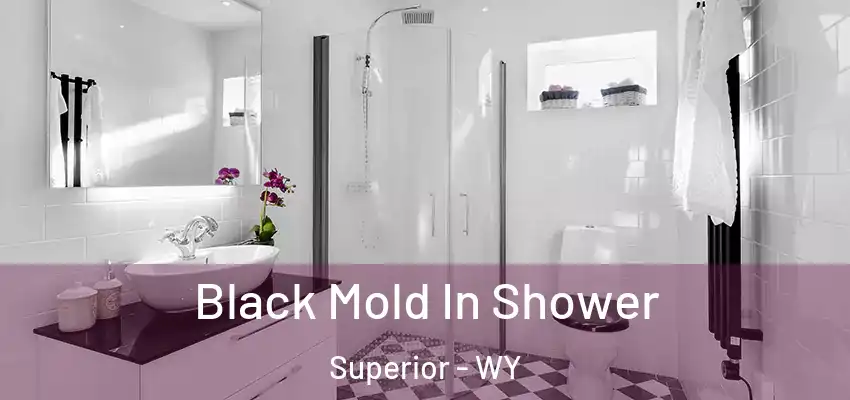  Black Mold In Shower Superior - WY