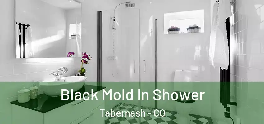 Black Mold In Shower Tabernash - CO