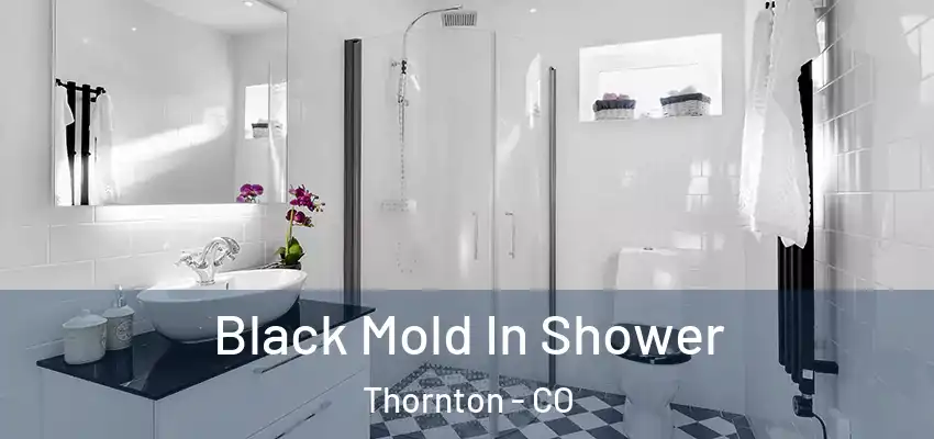  Black Mold In Shower Thornton - CO