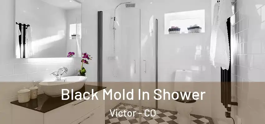  Black Mold In Shower Victor - CO