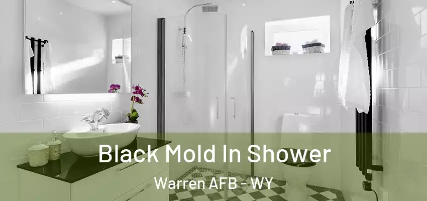 Black Mold In Shower Warren AFB - WY
