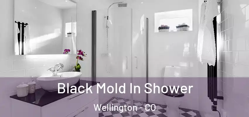  Black Mold In Shower Wellington - CO