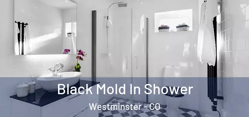Black Mold In Shower Westminster - CO