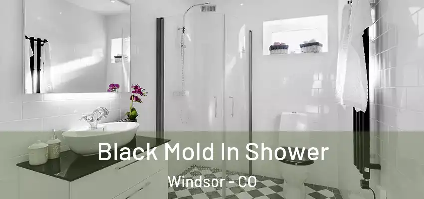 Black Mold In Shower Windsor - CO