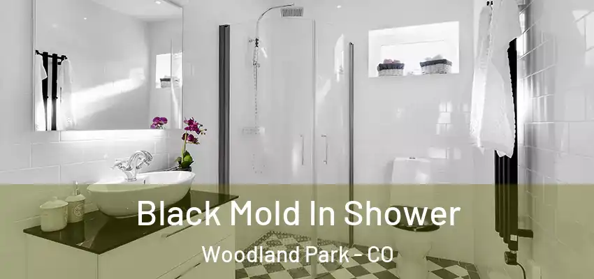  Black Mold In Shower Woodland Park - CO