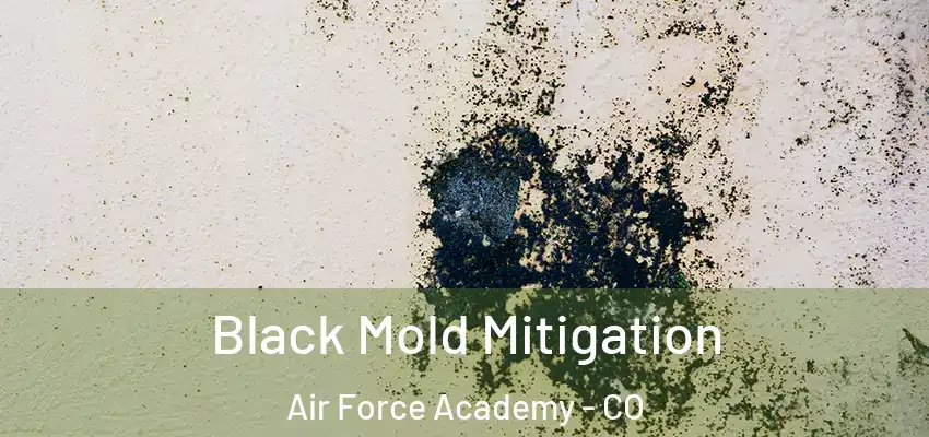Black Mold Mitigation Air Force Academy - CO
