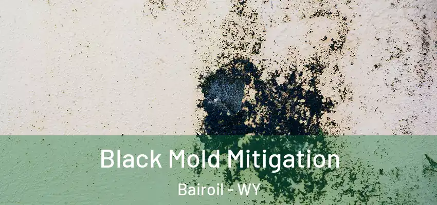 Black Mold Mitigation Bairoil - WY