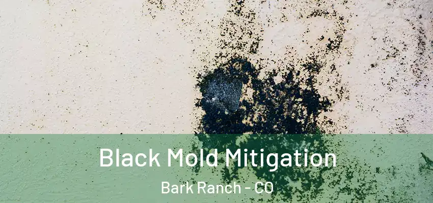  Black Mold Mitigation Bark Ranch - CO