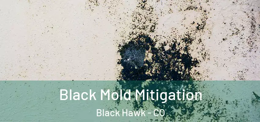  Black Mold Mitigation Black Hawk - CO