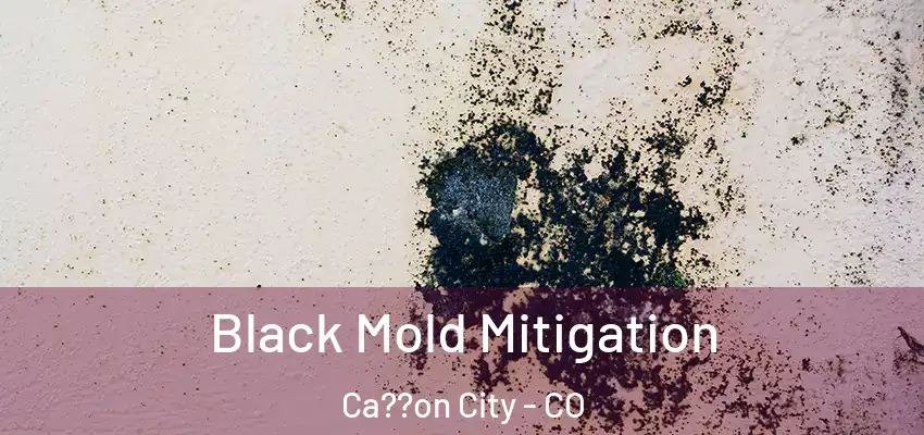  Black Mold Mitigation Ca??on City - CO