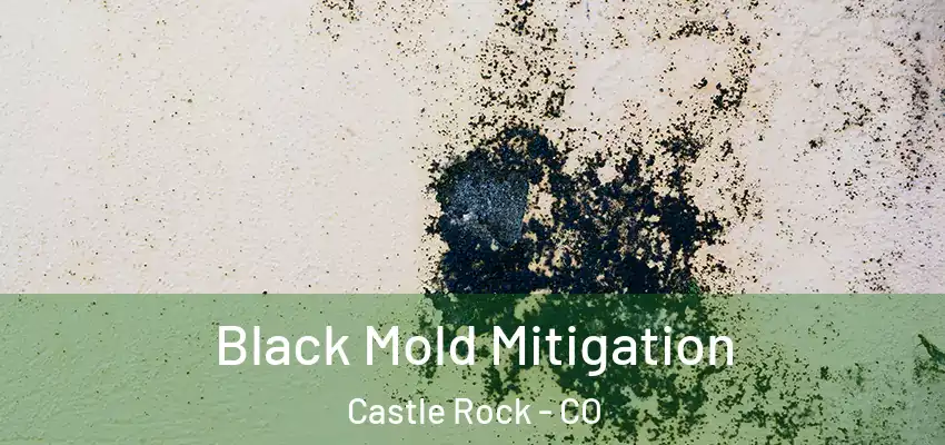 Black Mold Mitigation Castle Rock - CO