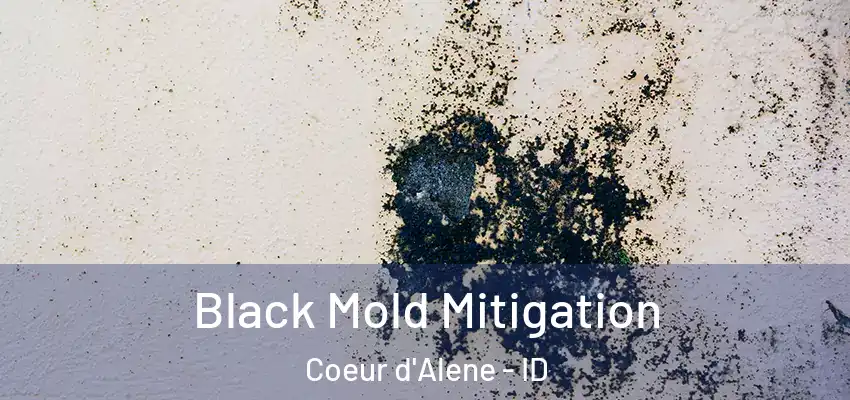  Black Mold Mitigation Coeur d'Alene - ID