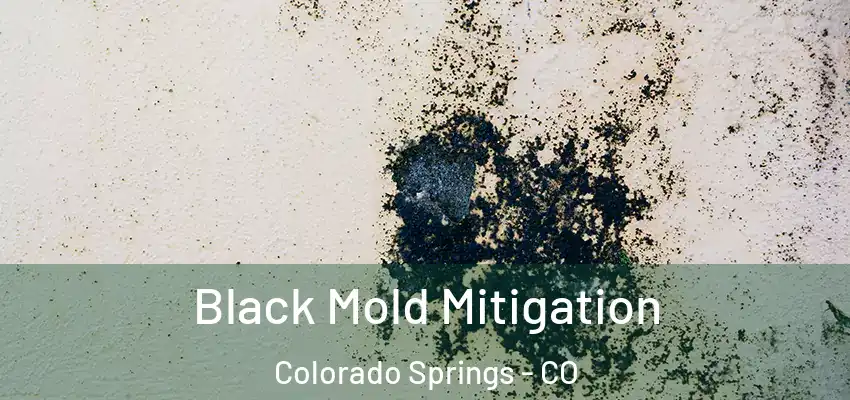 Black Mold Mitigation Colorado Springs - CO