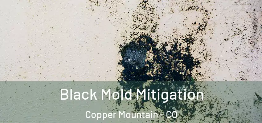  Black Mold Mitigation Copper Mountain - CO