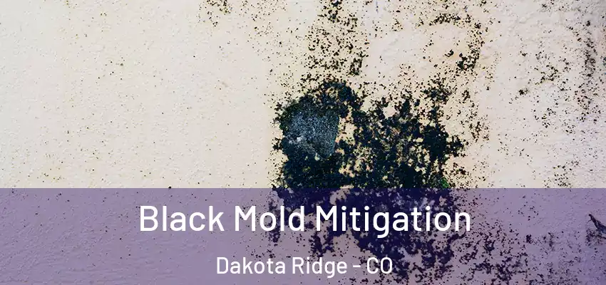 Black Mold Mitigation Dakota Ridge - CO