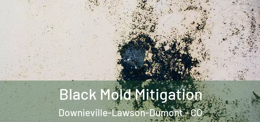  Black Mold Mitigation Downieville-Lawson-Dumont - CO