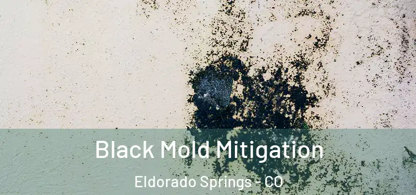  Black Mold Mitigation Eldorado Springs - CO