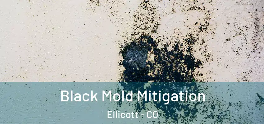  Black Mold Mitigation Ellicott - CO