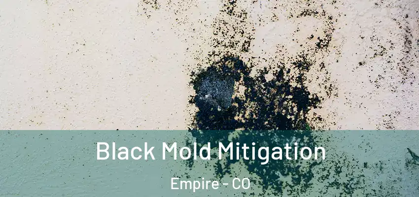  Black Mold Mitigation Empire - CO