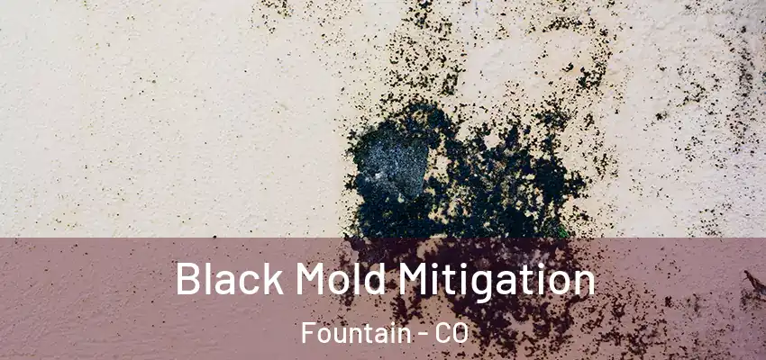  Black Mold Mitigation Fountain - CO