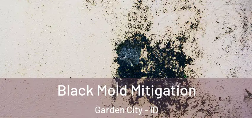  Black Mold Mitigation Garden City - ID