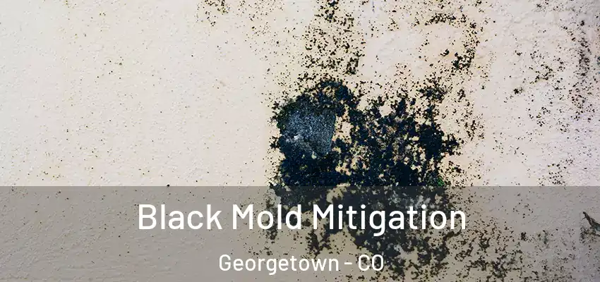 Black Mold Mitigation Georgetown - CO