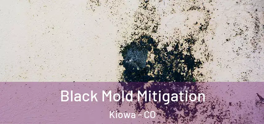 Black Mold Mitigation Kiowa - CO