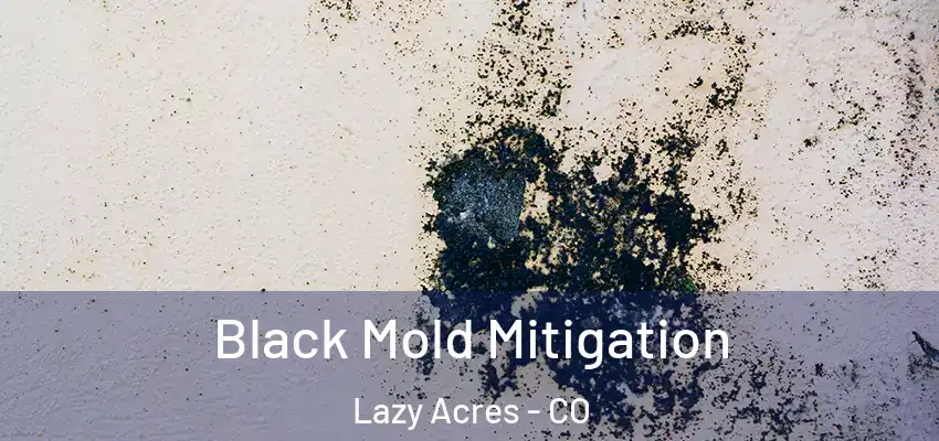  Black Mold Mitigation Lazy Acres - CO