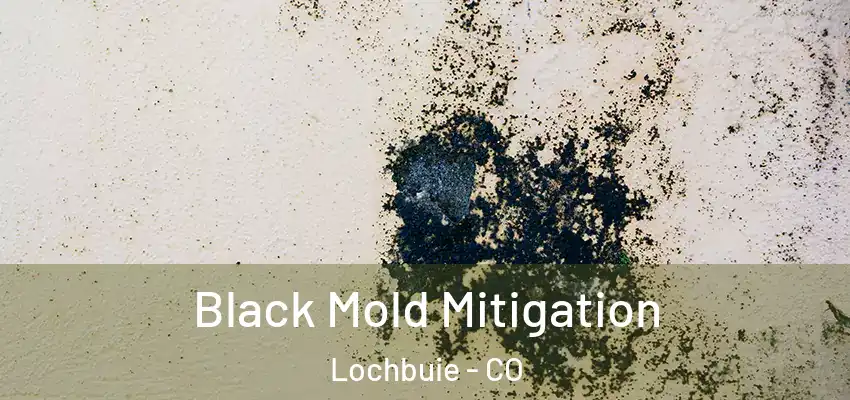 Black Mold Mitigation Lochbuie - CO