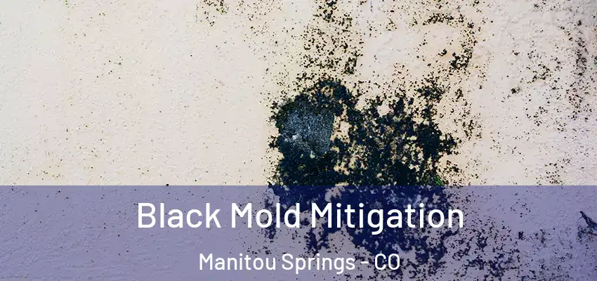 Black Mold Mitigation Manitou Springs - CO