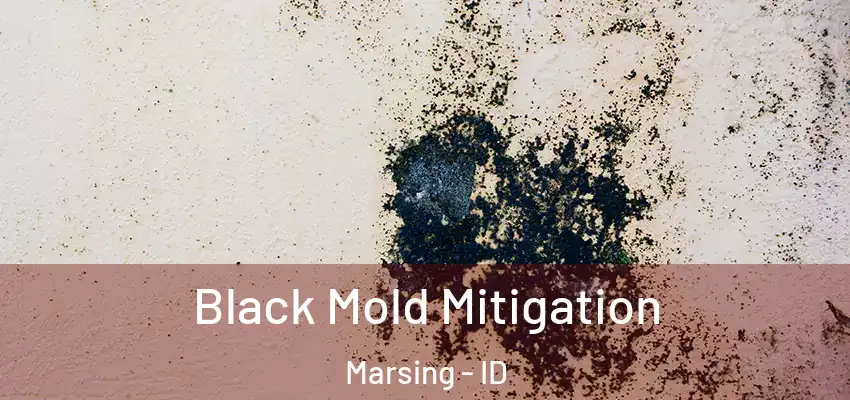 Black Mold Mitigation Marsing - ID