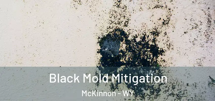 Black Mold Mitigation McKinnon - WY