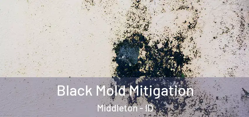Black Mold Mitigation Middleton - ID