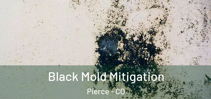 Black Mold Mitigation Pierce - CO