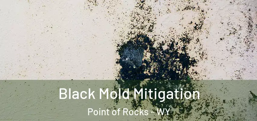  Black Mold Mitigation Point of Rocks - WY