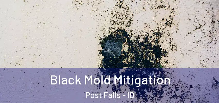  Black Mold Mitigation Post Falls - ID
