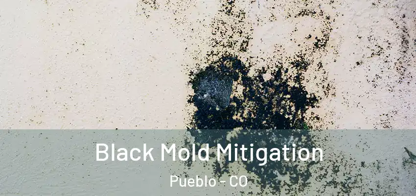 Black Mold Mitigation Pueblo - CO